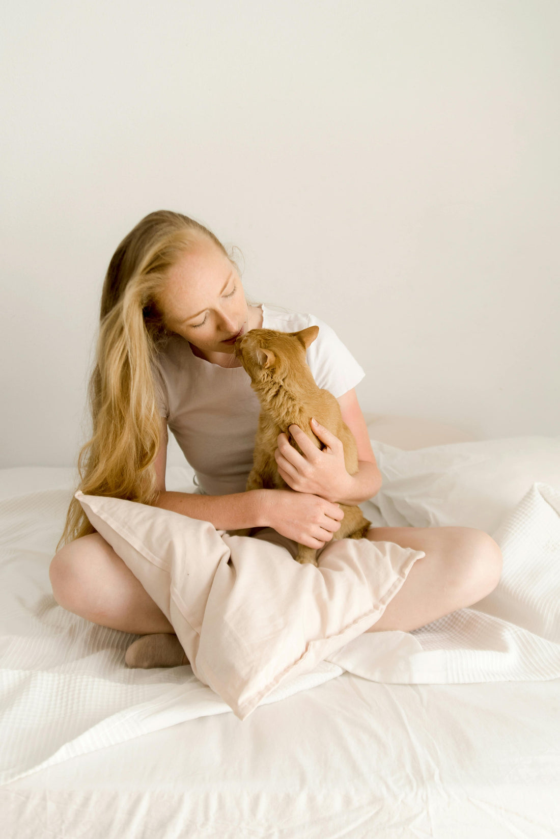 Five toys for the pickiest cats 05
