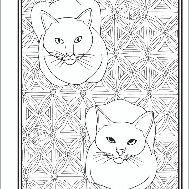 Butts, Bleps, and Beans Cat Coloring Book