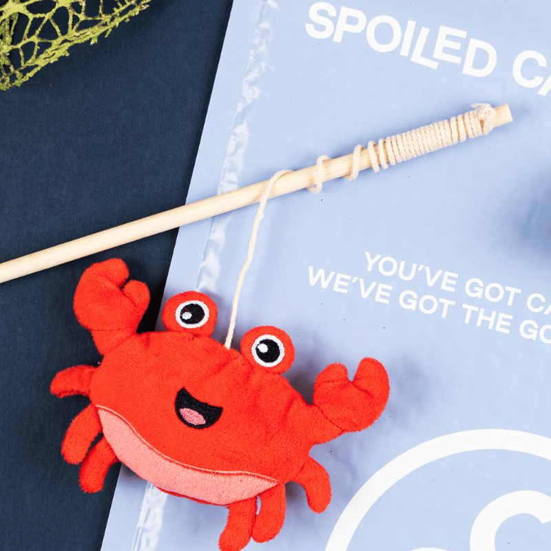 Captain Crawly Crabby Wand Toy