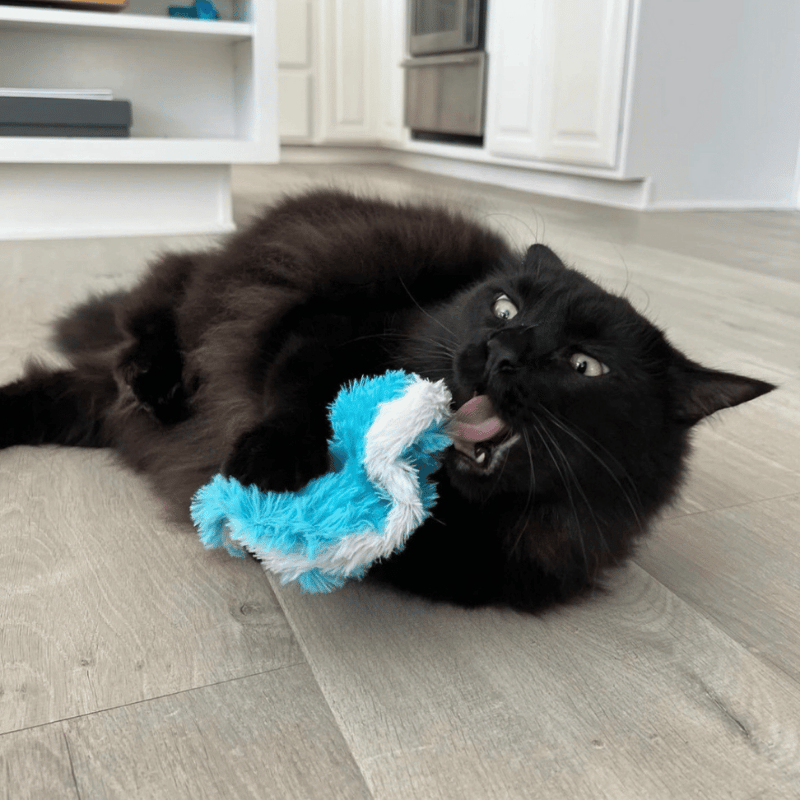 Cattitude Journal Catnip Toy