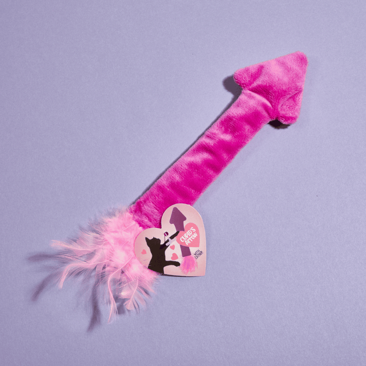 Cupid's Arrow Catnip Toy