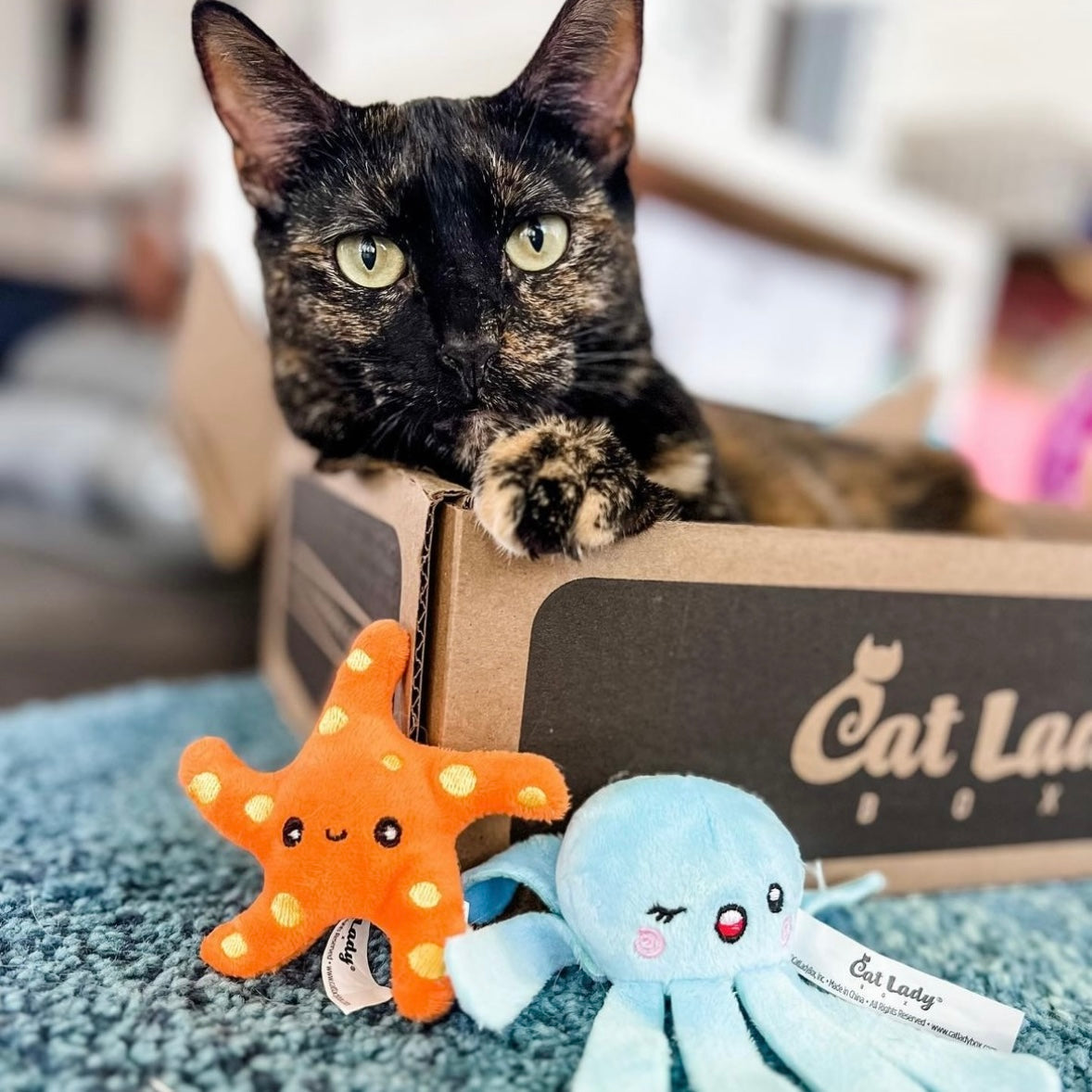 Ellie the Jelly Catnip Toy