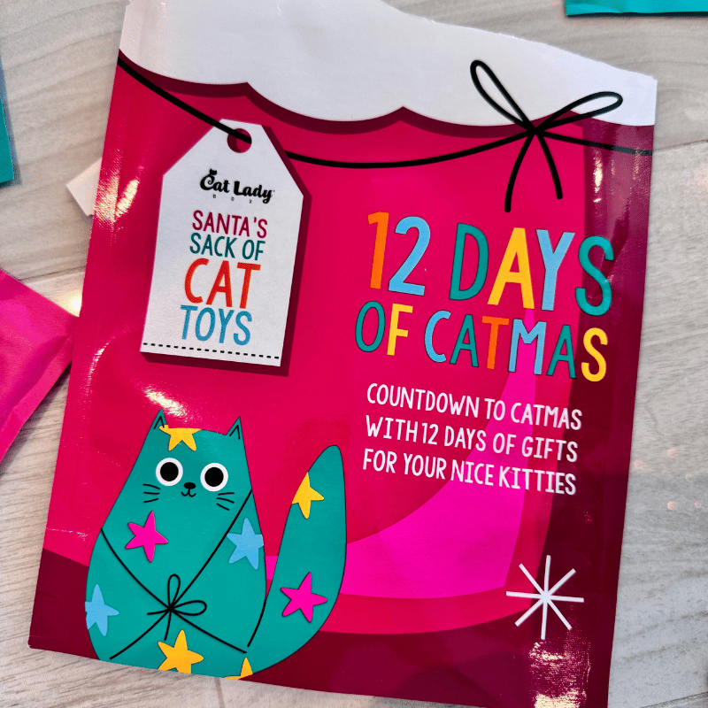 Santa’s Sack of Cat Toys (12 Toys)