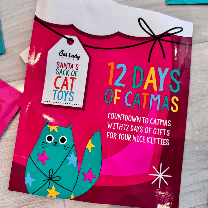 Santa’s Sack of Cat Toys (12 Toys)