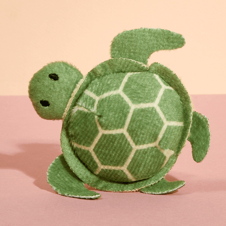 Timmy the Turtle Catnip Toy