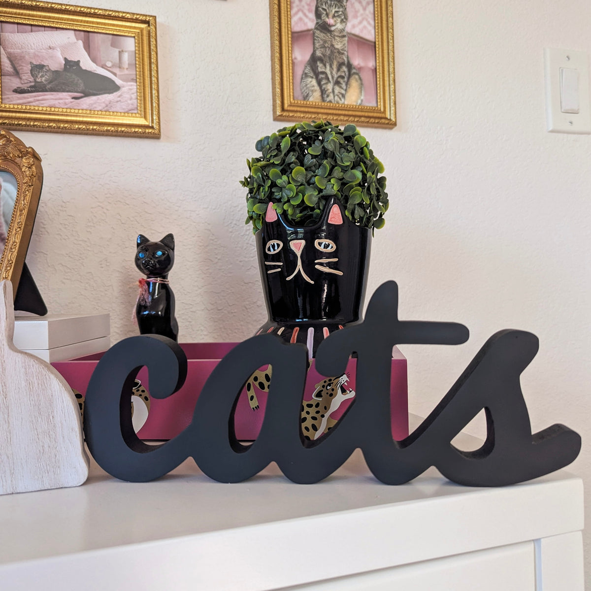 Cats Word Sign