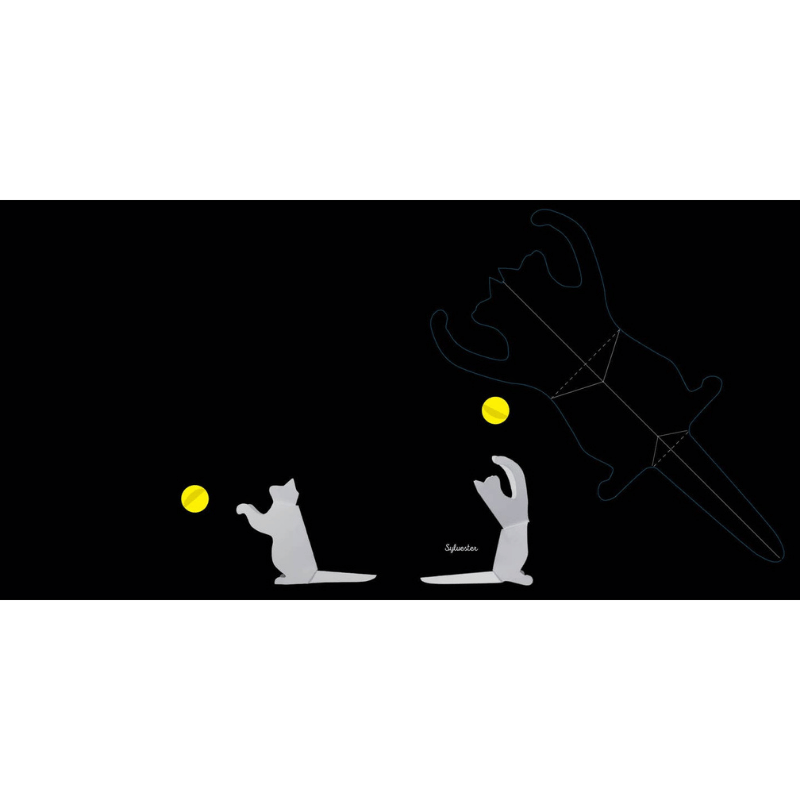 Cats: Fold & Play