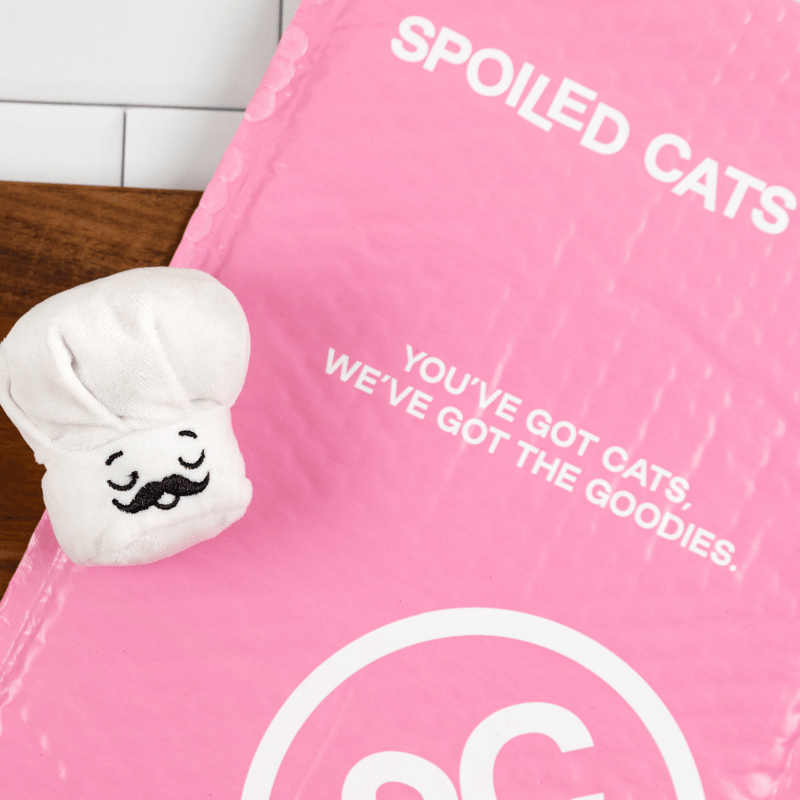 Chef Charlie Catnip Toy