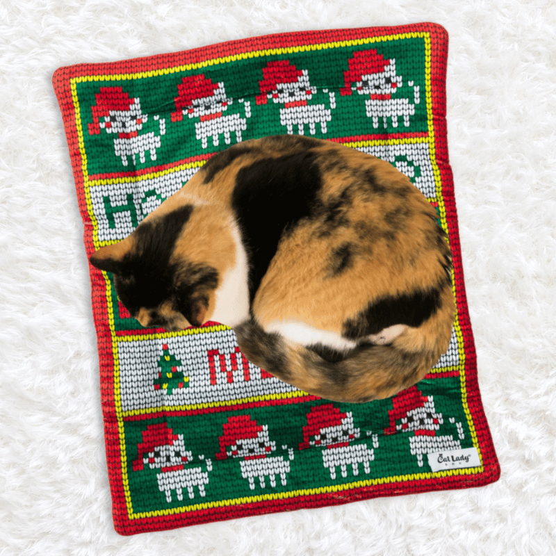Christmas Cat Mat