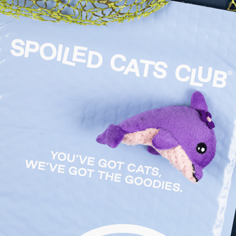 Delightful Daphne Dolphin Catnip Toy
