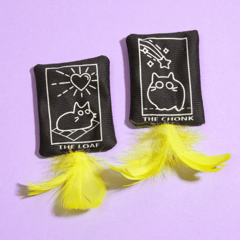 Feather Fanatics Cat Toy Bundle