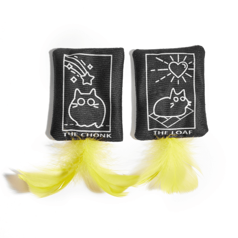 Flinging Fortunes Catnip Toy