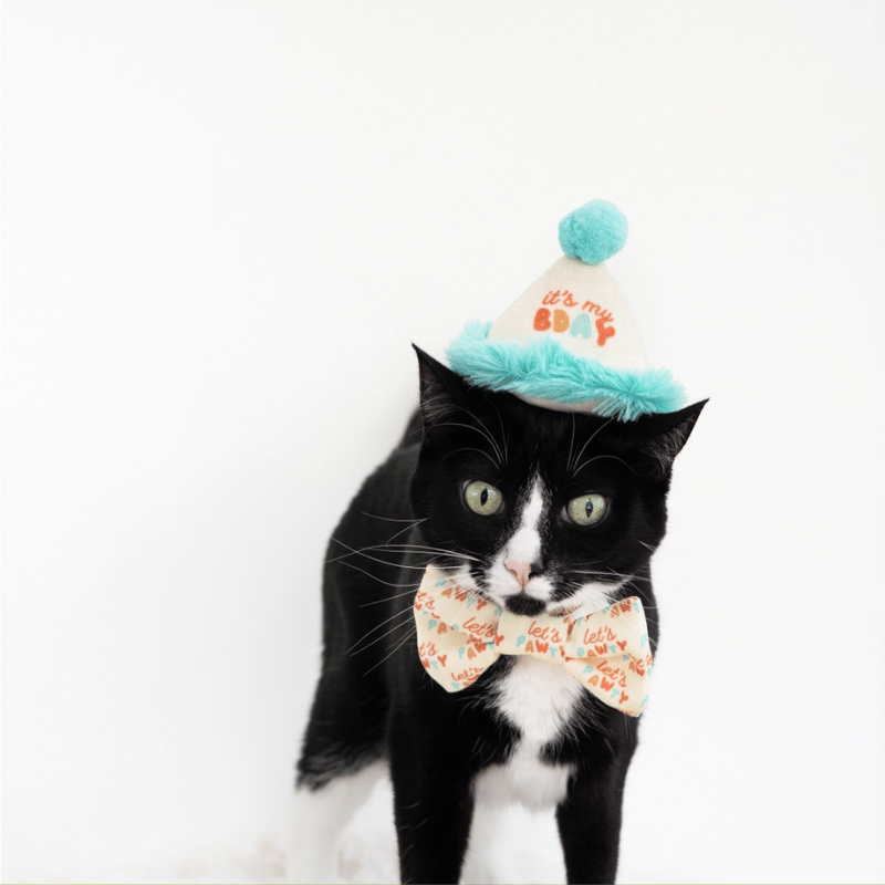 Happy Purrday Cat Hat and Bowtie Set