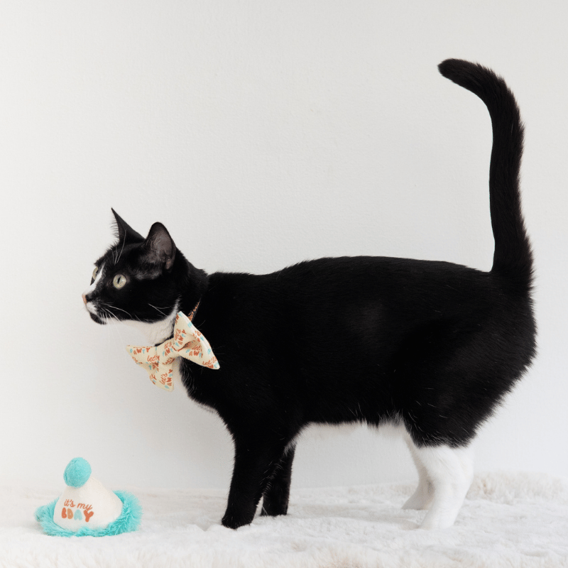 Happy Purrday Cat Hat and Bowtie Set