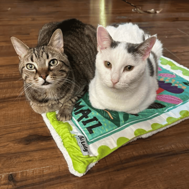 Meow Mail Stamp Cat Mat