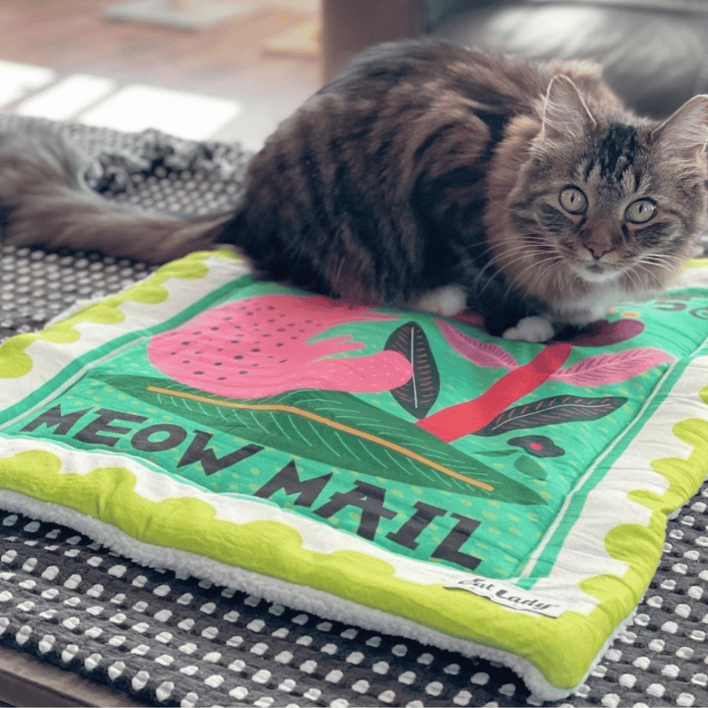 Meow Mail Stamp Cat Mat