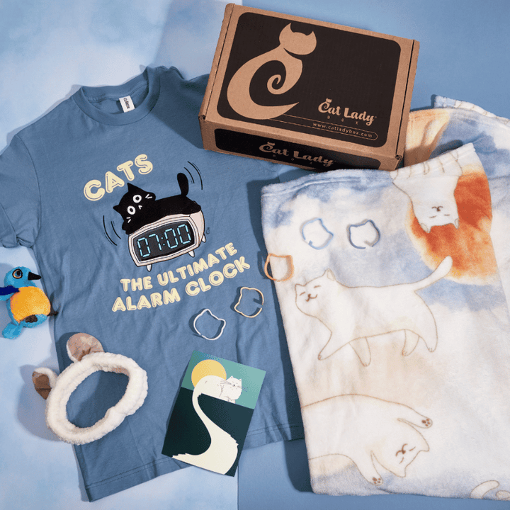 Single Past Box: Morning Stretch Box