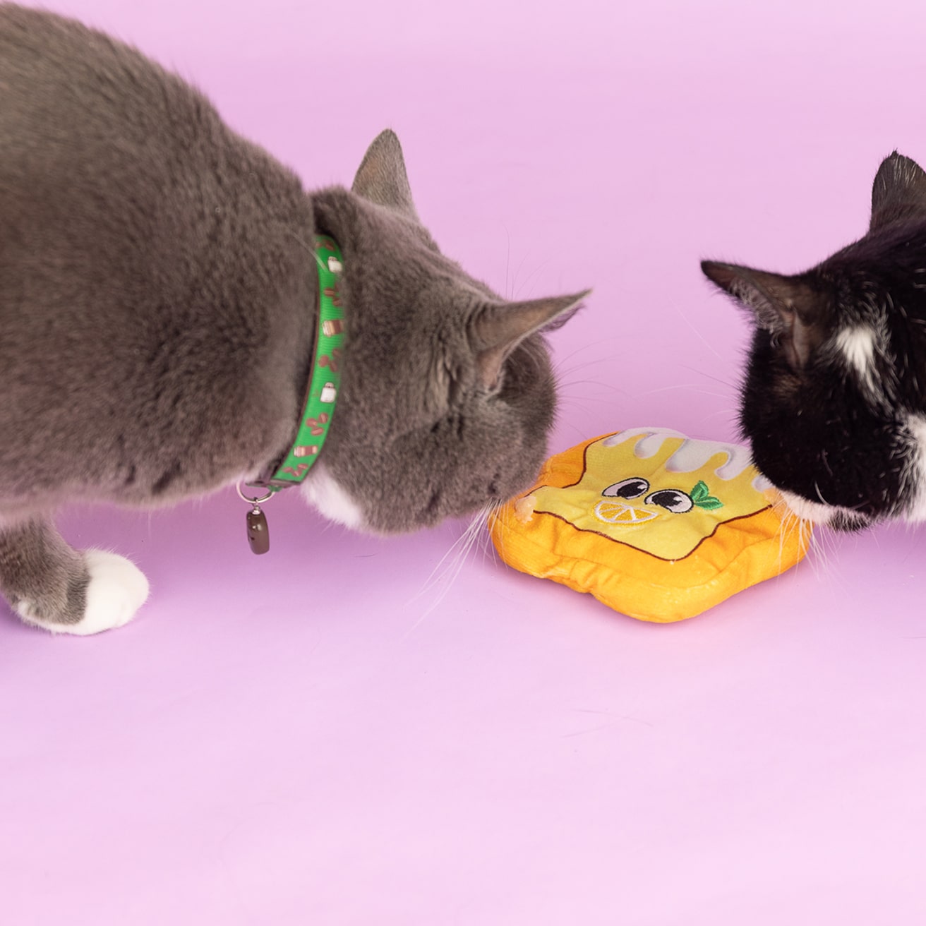 Spoiled Cats Club - 6 Months