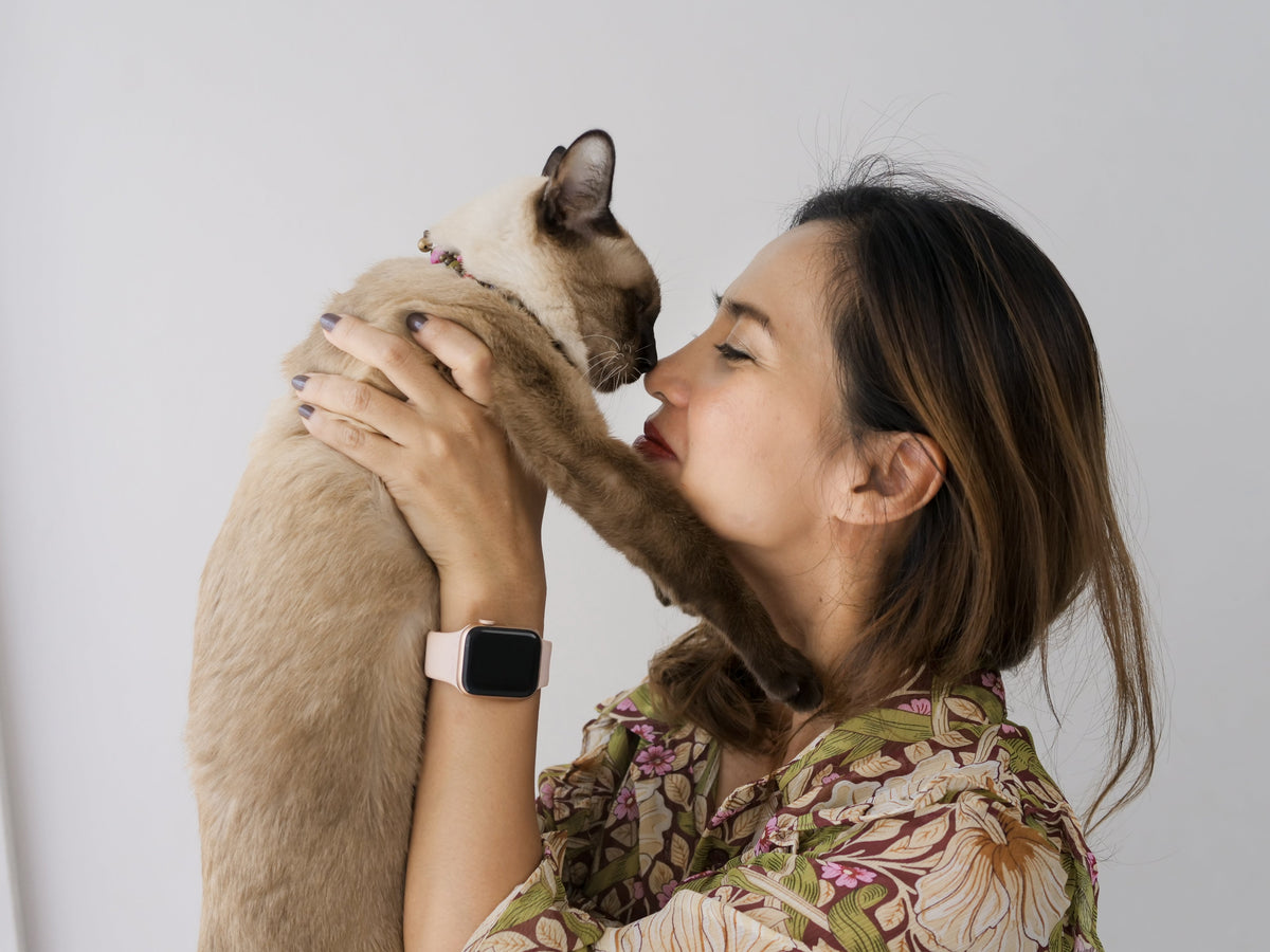 Five Toys for the Pickiest Cats