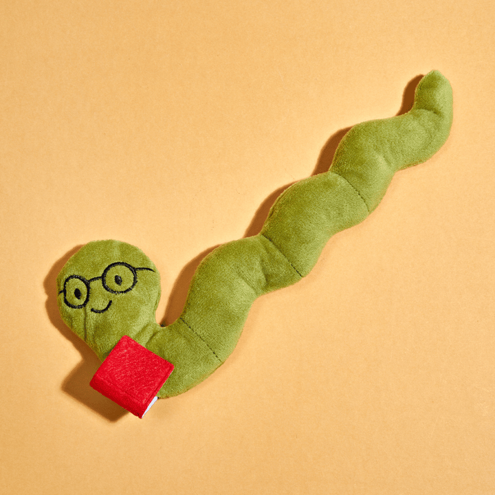 Barry Bookworm Catnip Toy