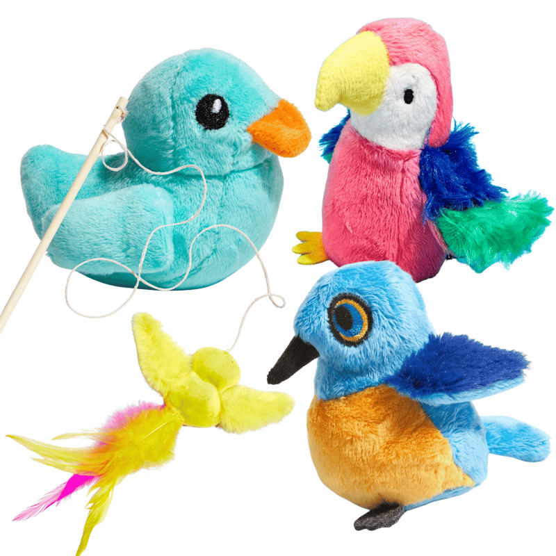 Bird Brains Toy Bundle