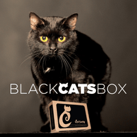 Cat Lady Box - 6 Months