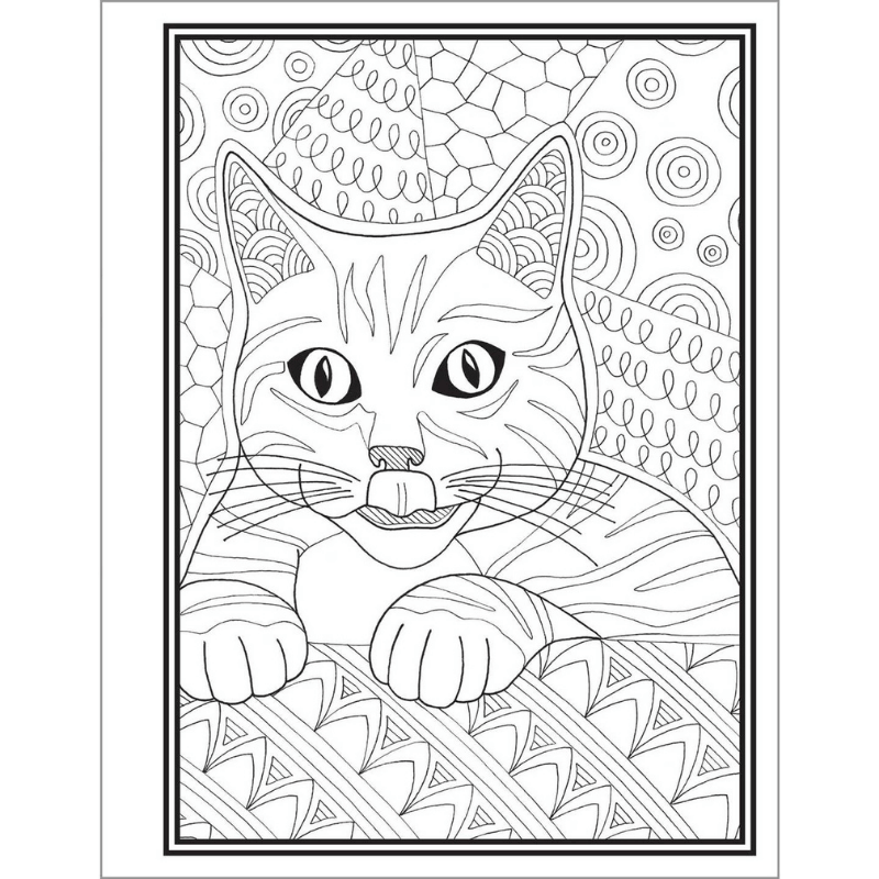 Butts, Bleps, and Beans Cat Coloring Book