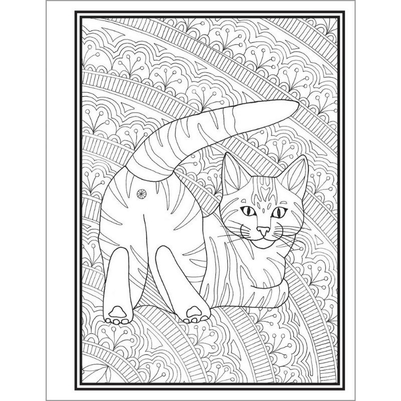 Butts, Bleps, and Beans Cat Coloring Book