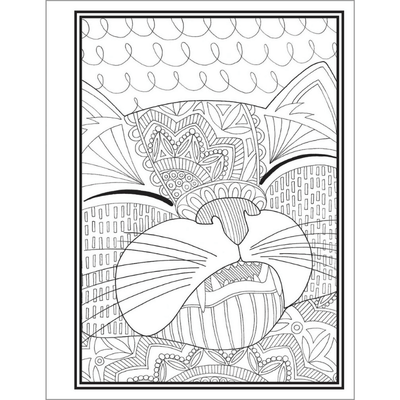Butts, Bleps, and Beans Cat Coloring Book