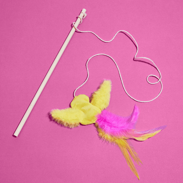 Bye Bye Birdbrain Wand Toy