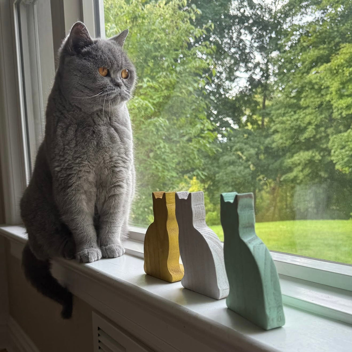 Cat Shelf Sitters