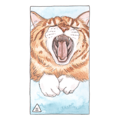 Cat Tarot