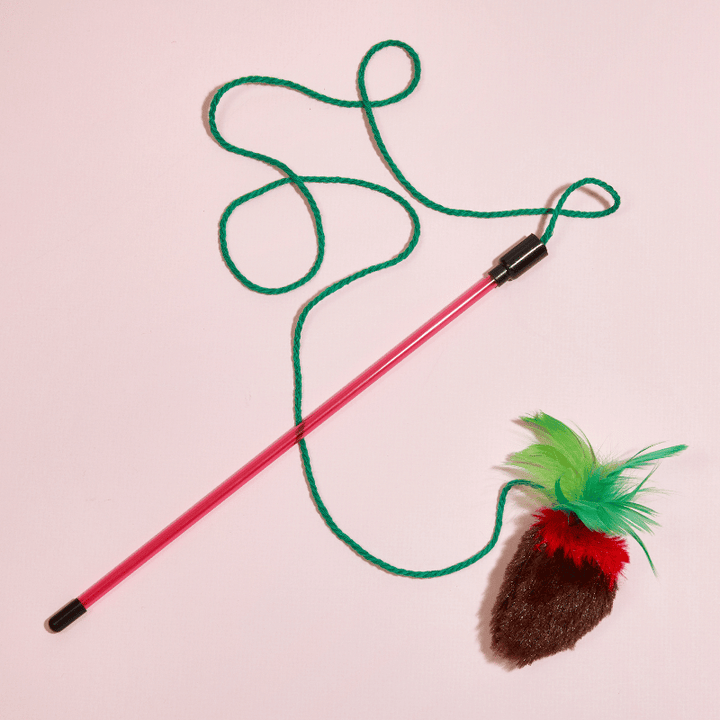 Boopin' Berry Wand Toy