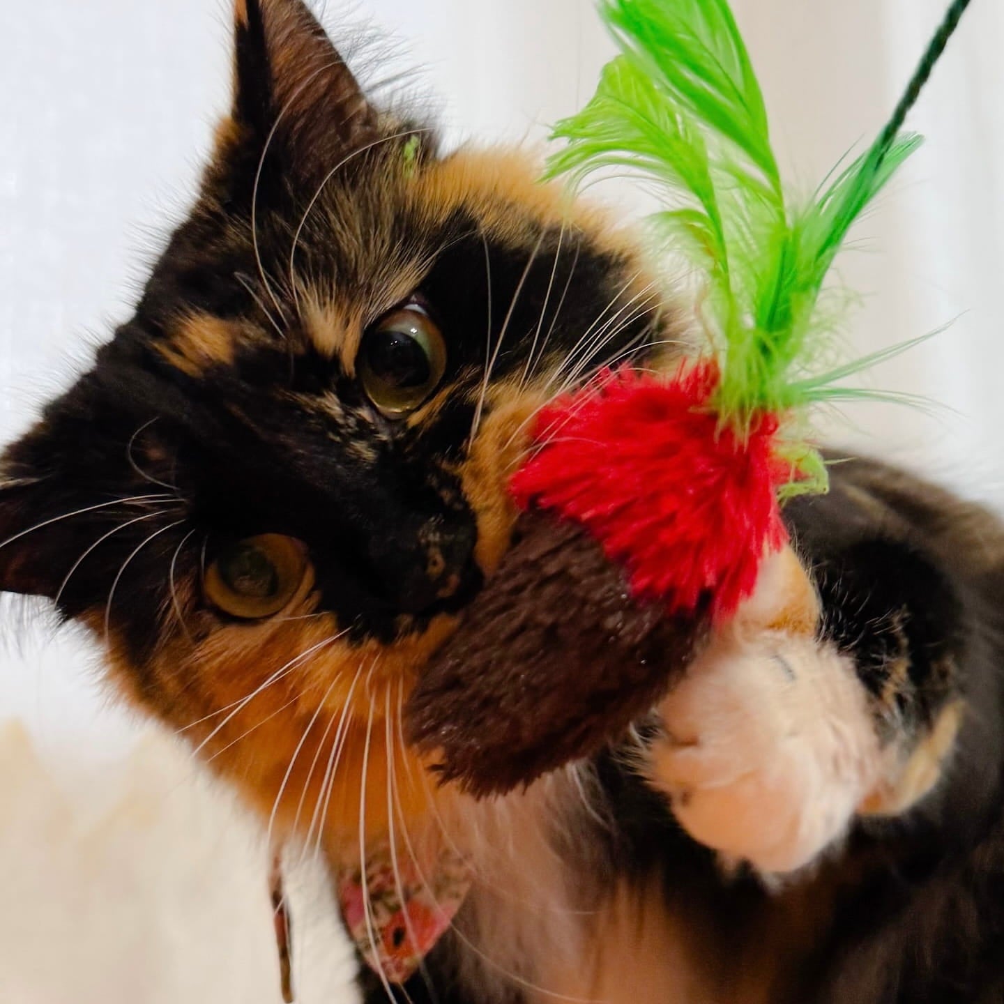 Boopin' Berry Wand Toy