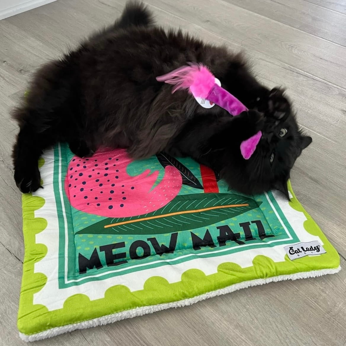 Cupid's Arrow Catnip Toy