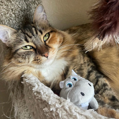 Happy Hippo Catnip Toy