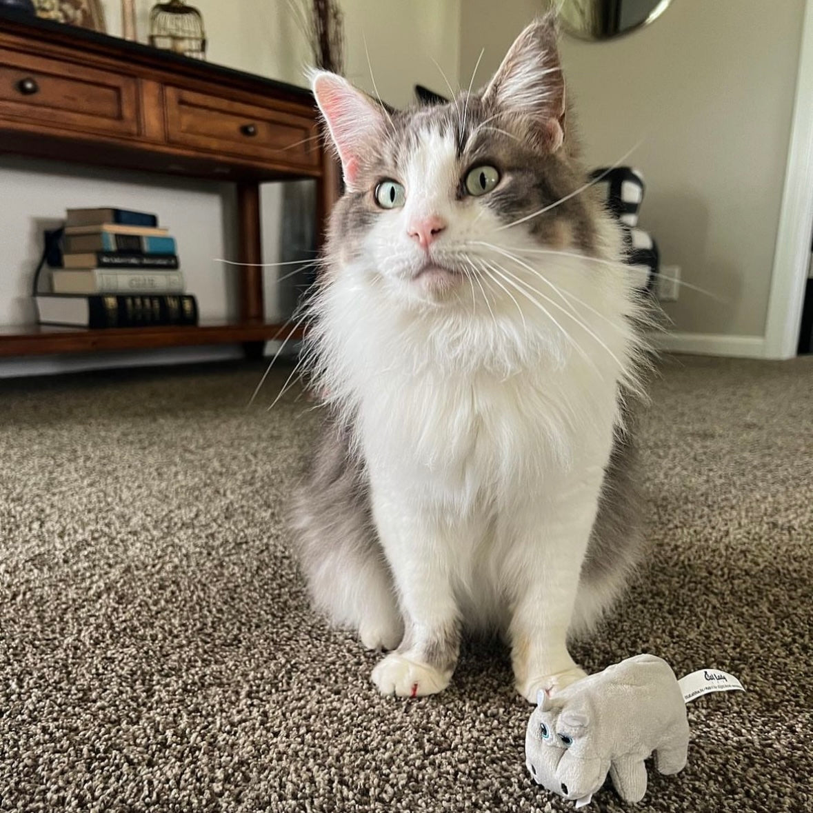 Happy Hippo Catnip Toy