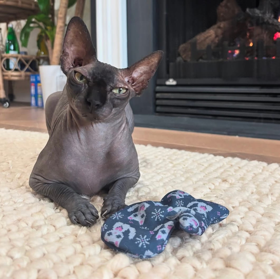 Kitten Mitten Catnip Toy