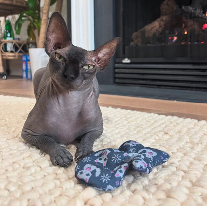 Kitten Mitten Catnip Toy