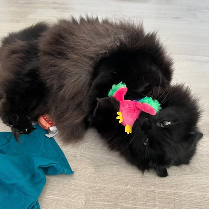 Popoki Parrot Catnip Toy