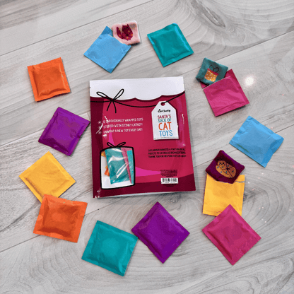 Santa’s Sack of Cat Toys (12 Toys)
