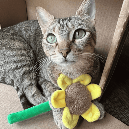 Sunny Sunflower Catnip Toy