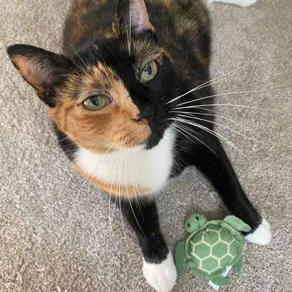 Timmy the Turtle Catnip Toy