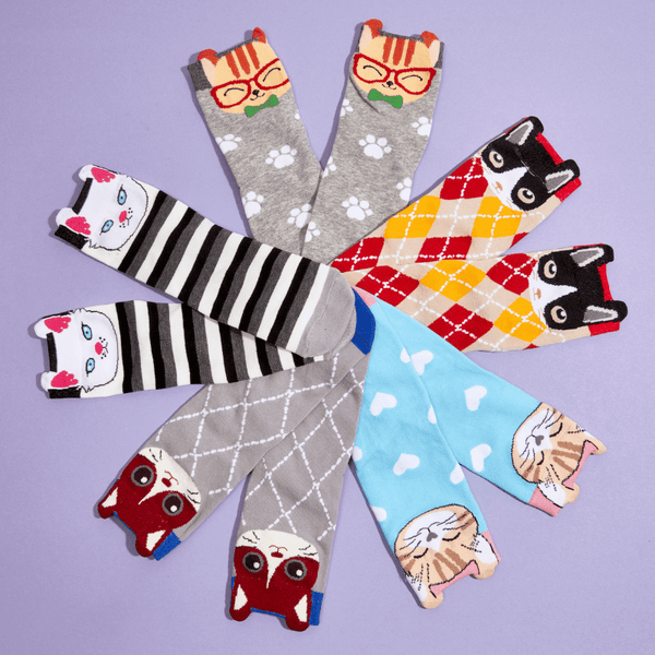 Cat Walk Collection Socks – Cat Lady