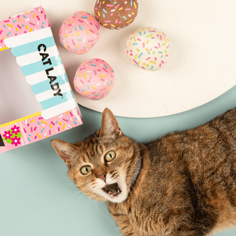 1/2 DOZEN CATNIP DONUT HOLES
