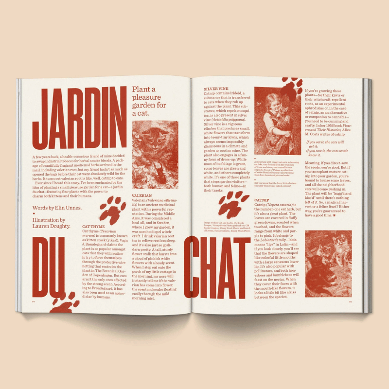 Catnip Magazine