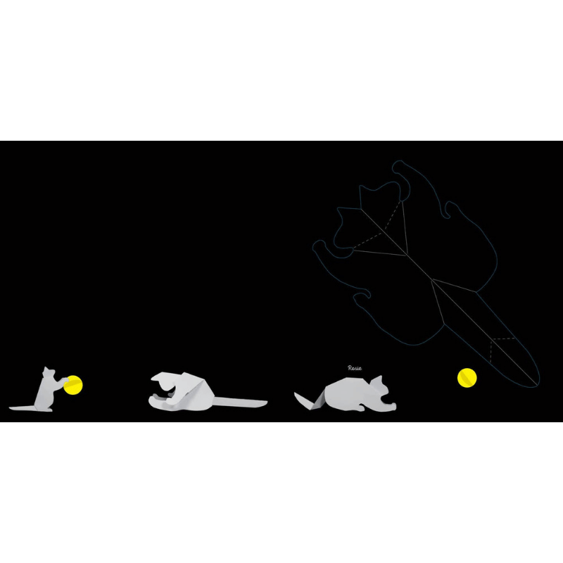 Cats: Fold & Play