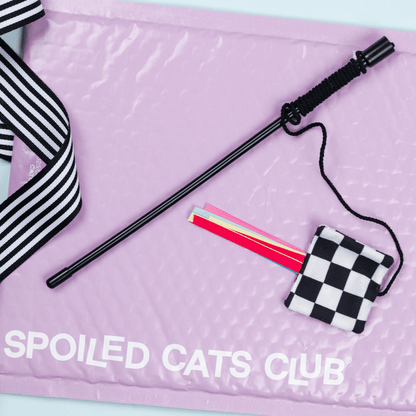 Checkered Flag Flapper Wand Toy