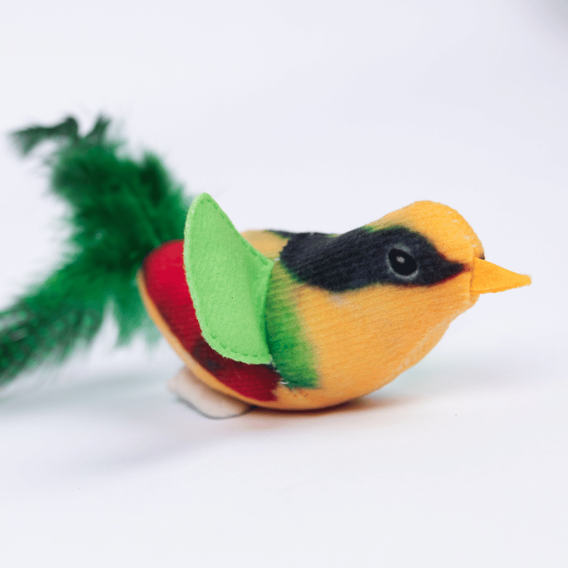 Chirpy Chirp Bird Toy
