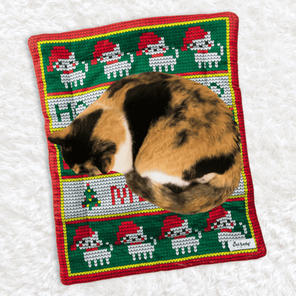 Christmas Cat Mat